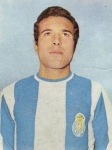 Manuel António